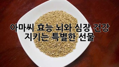아마씨 효능: 뇌와 심장 건강 지키는 특별한 선물