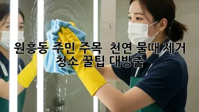 원흥동 주민 주목! ✨ 천연 물때 제거 청소 꿀팁 대방출!