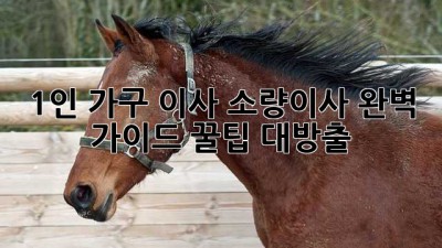 📦 1인 가구 이사, 소량이사 완벽 가이드: 꿀팁 대방출! 🍯